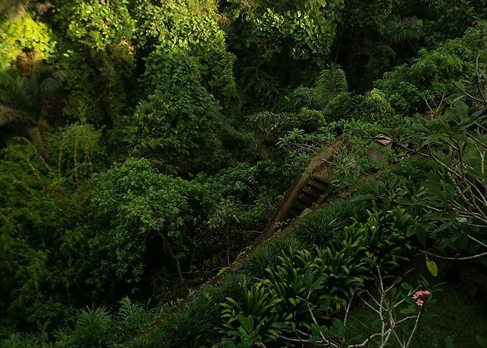 Naga Putih Ubud